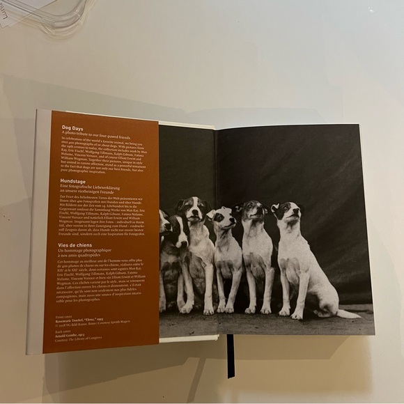 Taschen Dog book by Raymond Merrit - Picture 6 of 6